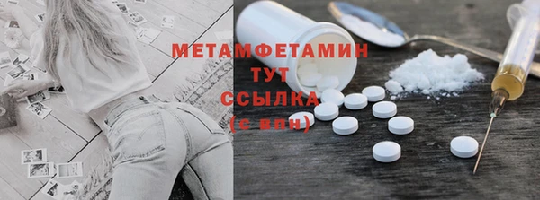 шишки Коряжма