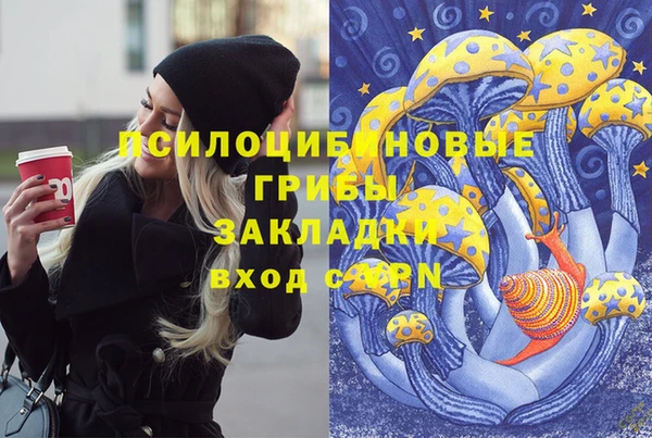 мдма Каменногорск