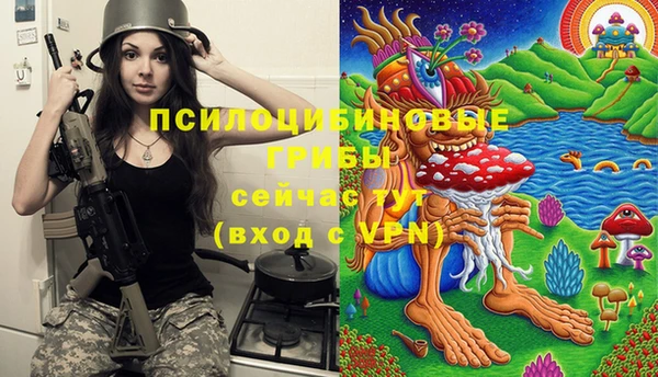 ALPHA PVP Карпинск