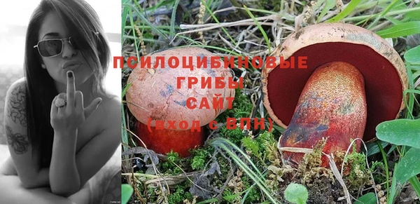дживик Касимов