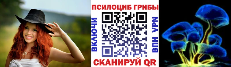 Галлюциногенные грибы Cubensis  Чернушка 