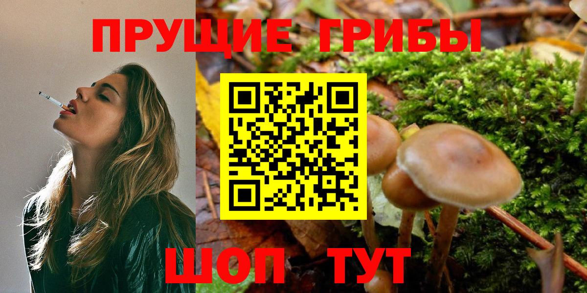 Чернушка  Галлюциногенные грибы Magic Shrooms  Галлюциногенные грибы мухоморы  сколько стоит  Вход с VPN 